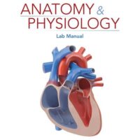 Full Download Manual Solution Anatomy & Physiology Lab Manual (MindTap Course List) 1 by Elizabeth Co, Hilary Engebretson