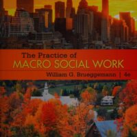 Manual Solutions for The Practice of Macro Social Work 4 by William G Brueggemann