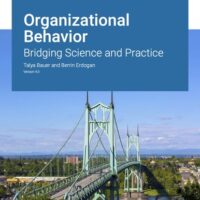 Full Download Manual Solution for Organizational Behavior: Bridging Science and Practice Version 4.0 4 by Talya Bauer