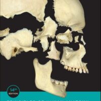 Manual Solution Principles of Human Anatomy 14 by Gerard J. Tortora, Mark Nielsen