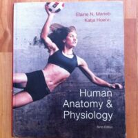 Manual Solutions for Human Antaomy & Physiology 9th Ed. Marieb Hoehn (Human Anatomy & Physiology 9th Edition) 9th by Elaine N. Marieb, Katja Hoehn