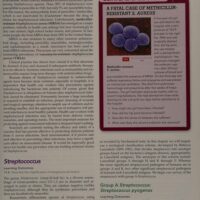 Full Download Manual Solution Microbiology with Diseases by Taxonomy (4th Edition) 4 by Robert W. Bauman Ph.D.