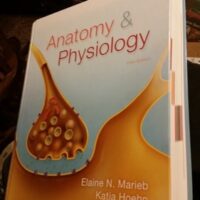 Full Download Manual Solution for Anatomy & Physiology (5th Edition) 5 by Elaine N. Marieb, Katja N. Hoehn