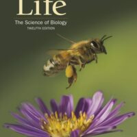 Manual Solutions for Life: The Science of Biology Twelfth by David M. Hillis, H. Craig Heller, Sally D. Hacker, David W. Hall, Marta J. Laskowski, David E. Sadava
