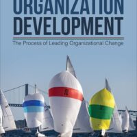 Manual Solution Organization Development: The Process of Leading Organizational Change Sixth by Donald L. Anderson