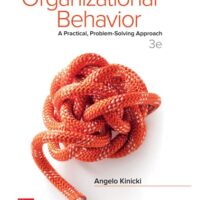 Manual Solution Organizational Behavior: A Practical, Problem-Solving Approach 3 by Angelo Kinicki
