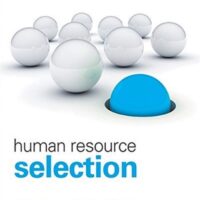 Manual Solutions for Human Resource Selection 8 by Robert Gatewood, Hubert S. Feild, Murray Barrick
