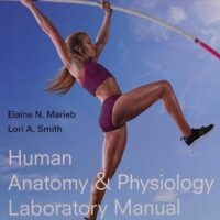 Manual Solutions for Human Anatomy & Physiology Laboratory Manual, Fetal Pig Version (12th Edition) (Marieb & Hoehn Human Anatomy & Physiology Lab Manuals) 12 by Elaine N. Marieb, Lori A. Smith