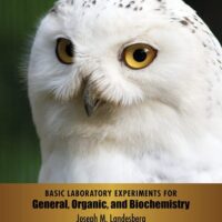 Manual Solution Basic Laboratory Experiments for General, Organic, and Biochemistry 2 by Joseph M. Landesberg