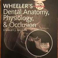 Full Download Test Bank Wheeler's Dental Anatomy, Physiology and Occlusion: Expert Consult 10 by Stanley J. Nelson DDS MS