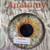 Full Download Manual Solution Human Anatomy 6 by Kenneth Saladin