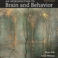 Full Download Test Bank An Introduction to Brain and Behavior Seventh by Bryan Kolb