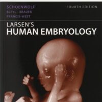 Full Download Manual Solution for Larsen's Human Embryology 4 by gary-c-schoenwolf