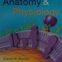 Manual Solution Anatomy & Physiology (6th Edition) 6 by Elaine N. Marieb, Katja N. Hoehn