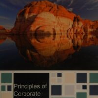 Full Download Test Bank Principles of Corporate Finance (The Mcgraw-Hill/Irwin Series in Finance, Insurance, and Real Estate) (The Mcgraw-hill/Irwin Series in Finance, Insureance, and Real Estate) 11 by Richard Brealey, Stewart Myers, Franklin Allen