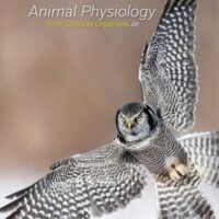 Full Download Manual Solution for Animal Physiology: From Genes to Organisms 2 by Lauralee Sherwood, Hillar Klandorf, Paul Yancey