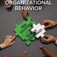 Manual Solution Organizational Behavior: Real Solutions to Real Challenges 3 by Timothy Baldwin, Bill Bommer, Robert Rubin