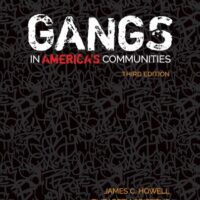 Manual Solutions for Gangs in America′s Communities 3 by James C. Howell, Elizabeth A. Griffiths