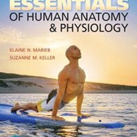 Full Download Manual Solution Essentials of Human Anatomy & Physiology Plus Mastering A&P with Pearson eText -- Access Card Package (12th Edition) 12 by Elaine N. Marieb, Suzanne M. Keller