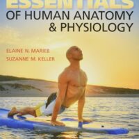 Full Download Test Bank Essentials of Human Anatomy & Physiology 12 by Elaine Marieb, Suzanne Keller