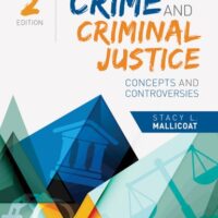 Manual Solutions for Crime and Criminal Justice: Concepts and Controversies 2 by Stacy L. Mallicoat