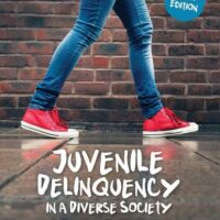 Manual Solution Juvenile Delinquency in a Diverse Society 3 by Kristin A. Bates, Richelle S. Swan