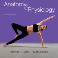 Manual Solutions for Fundamentals of Anatomy & Physiology 11 by Frederic Martini