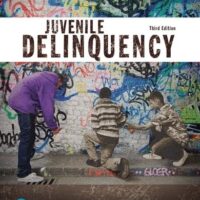 Manual Solution for Juvenile Delinquency (Justice Series) (The Justice Series) 3 by Clemens Bartollas, Frank Schmalleger, Michael Turner