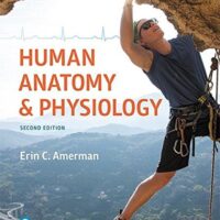 Full Download Manual Solution Human Anatomy & Physiology (Masteringa&p) 2 by Erin Amerman
