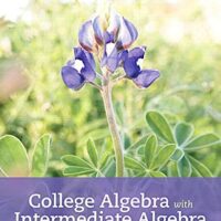Manual Solution College Algebra with Intermediate Algebra: A Blended Course 1 by Judith Beecher, Judith Penna, Barbara Johnson, Marvin Bittinger