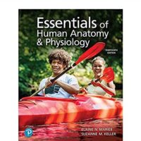 Full Download Manual Solution Essentials of Human Anatomy and Physiology [RENTAL EDITON] 13 by Suzanne Keller