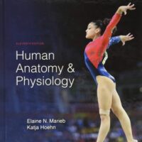 Manual Solutions for Human Anatomy & Physiology 11 by Elaine Marieb, Katja Hoehn