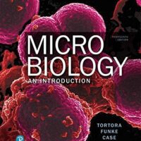 Manual Solution Microbiology: An Introduction 13 by Gerard Tortora, Berdell Funke, Christine Case