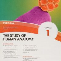 Manual Solution Human Anatomy 4 by Kenneth Saladin