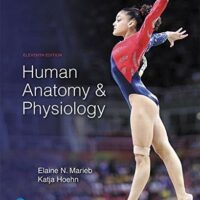 Full Download Manual Solution Human Anatomy & Physiology Plus Mastering A&P with Pearson eText -- Access Card Package (11th Edition) (What's New in Anatomy & Physiology) 11 by Elaine N. Marieb, Katja N. Hoehn
