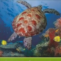 Manual Solution Basic College Mathematics 3 by Julie Miller, Molly O'Neill, Nancy Hyde