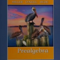 Manual Solution Prealgebra 2 by Julie Miller, Molly O'Neill, Nancy Hyde