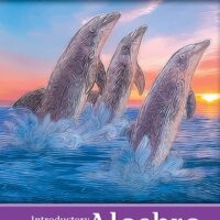 Manual Solution for Introductory Algebra 3 by Julie Miller, Molly O'Neill, Nancy Hyde