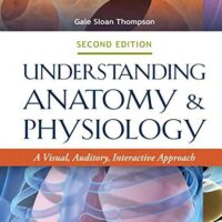 Manual Solutions for Understanding Anatomy & Physiology: A Visual, Auditory, Interactive Approach: A Visual, Auditory, Interactive Approach Second by Gale Sloan Thompson RN