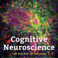 Manual Solution Cognitive Neuroscience: The Biology of the Mind Fifth by Michael Gazzaniga, Richard B. Ivry, George R. Mangun Ph.D.