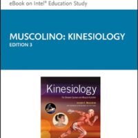 Manual Solutions for Kinesiology: The Skeletal System and Muscle Function 3 by Joseph E. Muscolino DC
