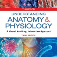 Manual Solutions for Understanding Anatomy & Physiology: A Visual, Auditory, Interactive Approach Third by Gale Sloan Thompson RN