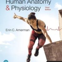 Full Download Manual Solution Human Anatomy & Physiology [RENTAL EDITION] 3 by Erin Amerman