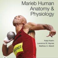 Manual Solution Marieb Human Anatomy & Physiology (12th Edition) RENTAL EDITION by Katja Hoehn