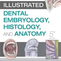 Full Download Manual Solution Illustrated Dental Embryology, Histology, and Anatomy 5 by Margaret J. Fehrenbach RDH MS, Tracy Popowics PhD