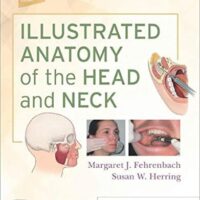 Manual Solution Illustrated Anatomy of the Head and Neck 6 by Margaret J. Fehrenbach RDH MS, Susan W. Herring PhD