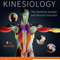 Manual Solutions for Kinesiology: The Skeletal System and Muscle Function 4 by Joseph E. Muscolino DC