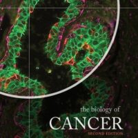 Manual Solution The Biology of Cancer 2 by Robert A. Weinberg, Robert A Weinberg
