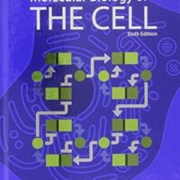 Manual Solutions for Molecular Biology of the Cell 6 by Bruce Alberts