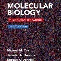 Manual Solutions for Molecular Biology: Principles and Practice Second by Michael M. Cox, Jennifer Doudna, Michael O'Donnell